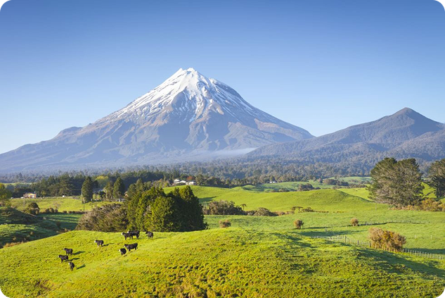 What Is Tokenized Travel Ownership? A Simple Guide for First-Time Users